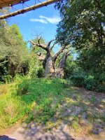 20251023_133654_165da624