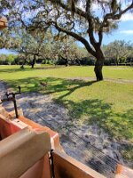 20251023_133948_b64e2b52