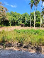 20251023_134217_56256d79