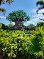 20251023_135811_acc04673