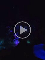 20251023_145304_c1fecf59