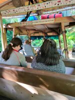 20251101_095612_bf12349e