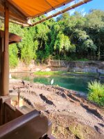 20251101_100000_093c31e1