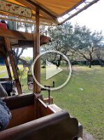 20251101_100516_6ca9c08d