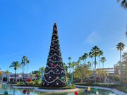 20251108_080159_44519f54