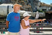 2025-11-08 - Disneys Hollywood Studios - Millennium falcon